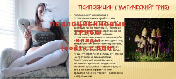 Альфа ПВП Навашино