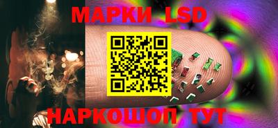 шишки Ставрополь