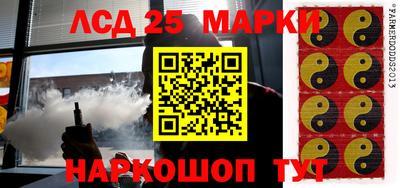 шишки Ставрополь