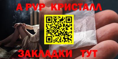 шишки Ставрополь