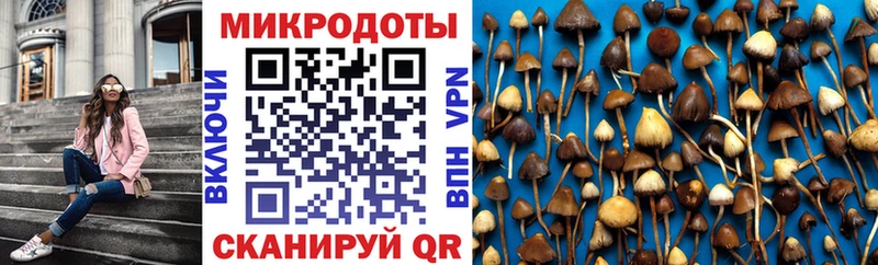 купить  цена  Тейково  Псилоцибиновые грибы Magic Shrooms 