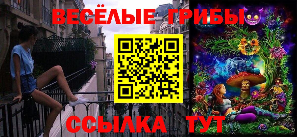 Тейково  Галлюциногенные грибы ЛСД  Вход с VPN  Галлюциногенные грибы ЛСД 