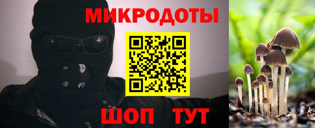 Псилоцибиновые грибы прущие грибы Тейково